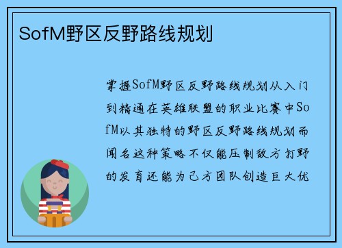 SofM野区反野路线规划