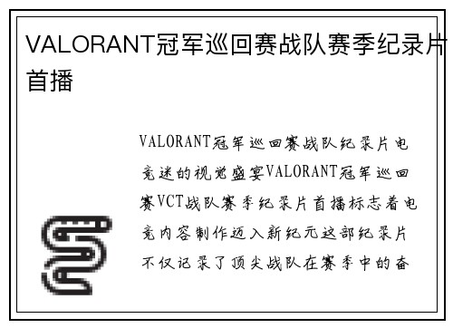 VALORANT冠军巡回赛战队赛季纪录片首播