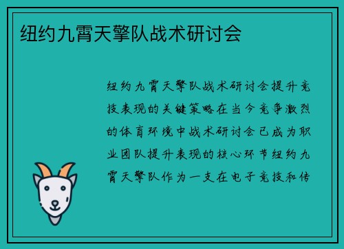 纽约九霄天擎队战术研讨会