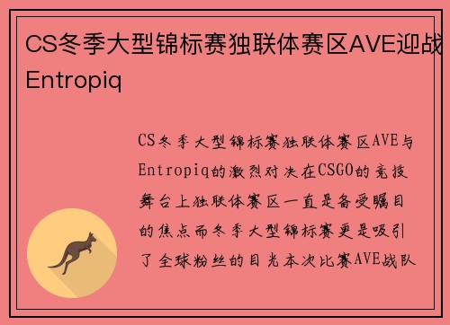 CS冬季大型锦标赛独联体赛区AVE迎战Entropiq